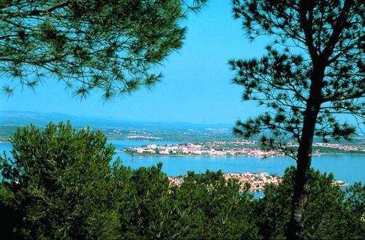 Les Oliviers Lägenhet Balaruc-les-Bains Exteriör bild
